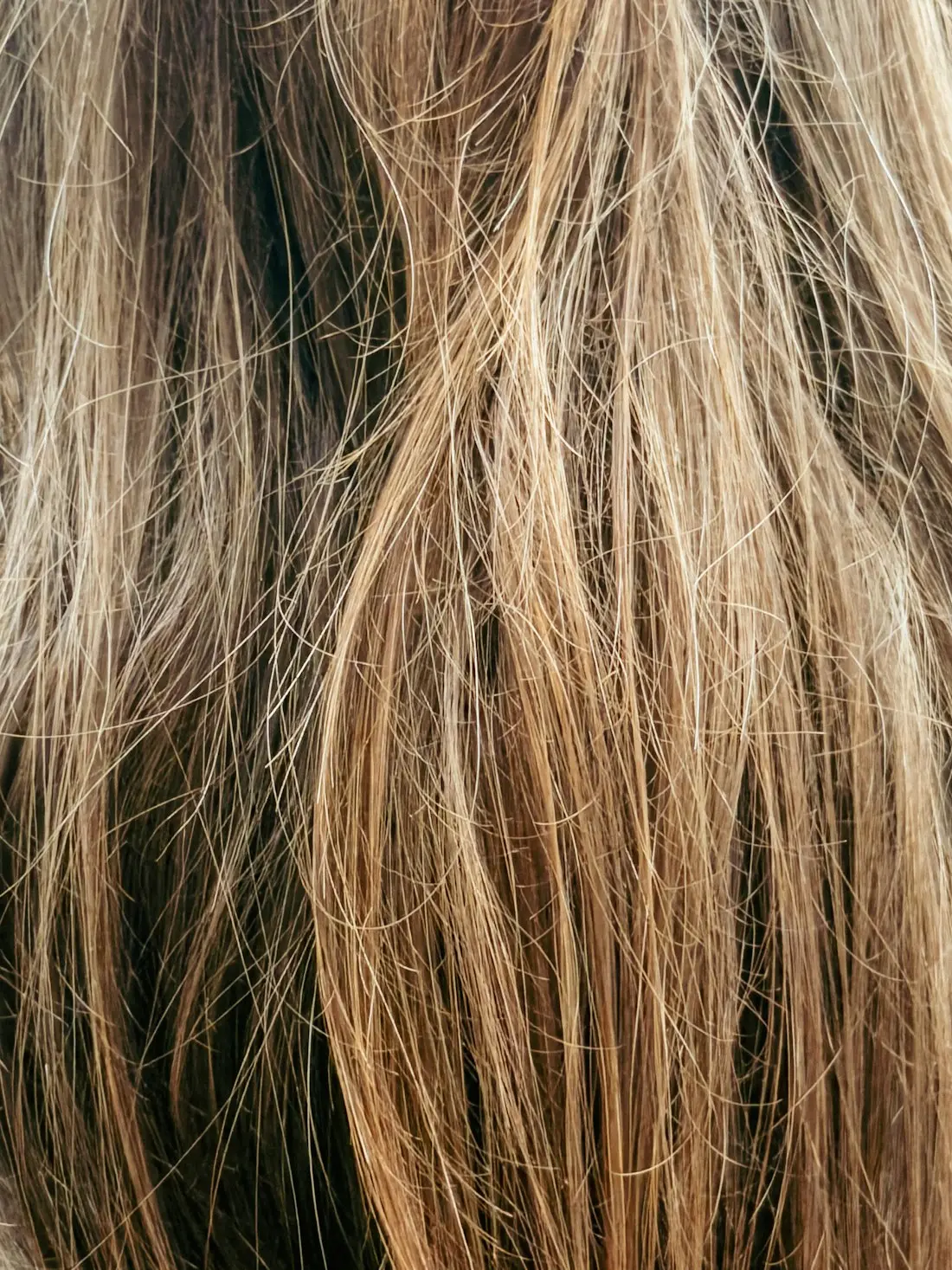 Strähnen: Lichtreflexe – Feine Highlights für mehr Dimension.